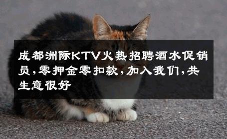 成都洲际KTV火热招聘酒水促销员,零押金零扣款,加入我们,共生意很好