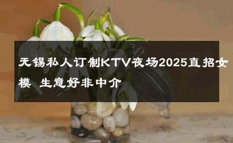 无锡私人订制KTV夜场2025直招女模 生意好非中介