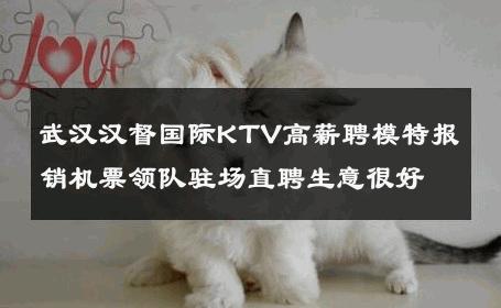武汉汉督国际KTV高薪聘模特报销机票领队驻场直聘生意很好