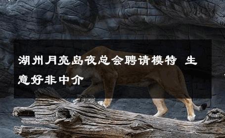 湖州月亮岛夜总会聘请模特 生意好非中介