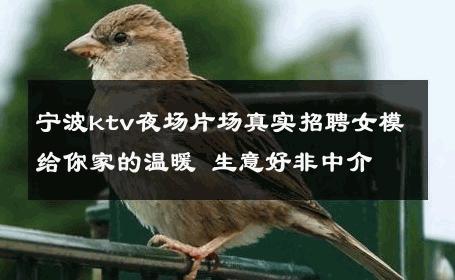 宁波ktv夜场片场真实招聘女模给你家的温暖 生意好非中介