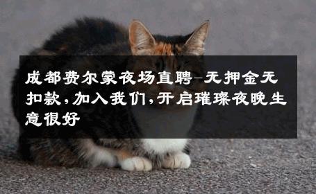 成都费尔蒙夜场直聘-无押金无扣款,加入我们,开启璀璨夜晚生意很好
