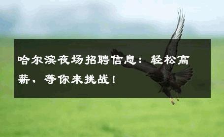 哈尔滨夜场招聘信息：轻松高薪，等你来挑战！