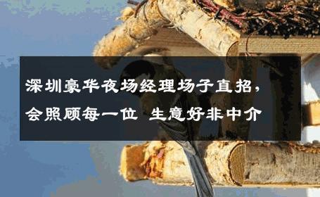 深圳豪华夜场经理场子直招，会照顾每一位 生意好非中介