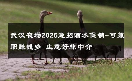 武汉夜场2025急招酒水促销-可兼职赚钱多 生意好非中介