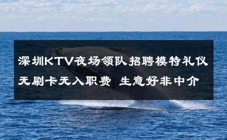 深圳KTV夜场领队招聘模特礼仪无刷卡无入职费 生意好非中介