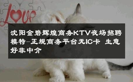 沈阳金碧辉煌商务KTV夜场招聘模特-正规商务平台无IC卡 生意好非中介
