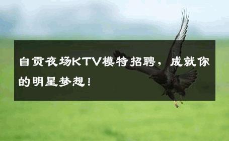 自贡夜场KTV模特招聘，成就你的明星梦想！