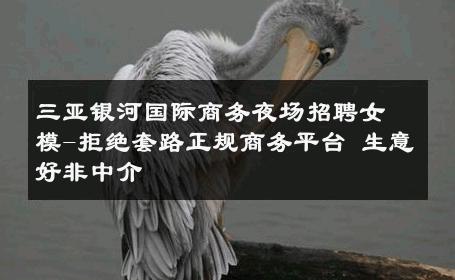 三亚银河国际商务夜场招聘女模-拒绝套路正规商务平台 生意好非中介