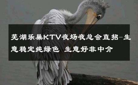 芜湖乐巢KTV夜场夜总会直招-生意稳定纯绿色 生意好非中介