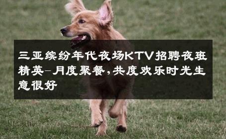 三亚缤纷年代夜场KTV招聘夜班精英-月度聚餐,共度欢乐时光生意很好