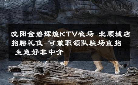 沈阳金碧辉煌KTV夜场 北顺城店招聘礼仪-可兼职领队驻场直招 生意好非中介