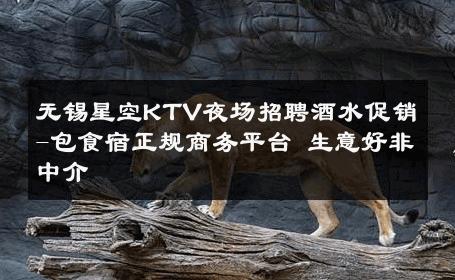 无锡星空KTV夜场招聘酒水促销-包食宿正规商务平台 生意好非中介