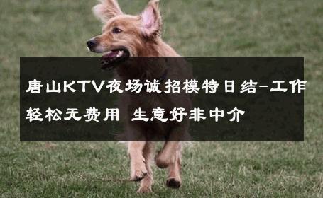 唐山KTV夜场诚招模特日结-工作轻松无费用 生意好非中介