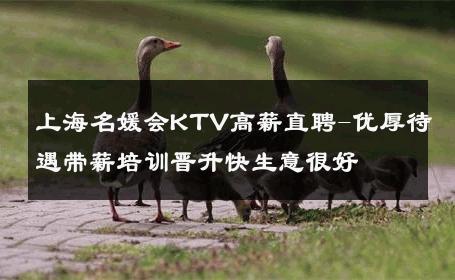 上海名媛会KTV高薪直聘-优厚待遇带薪培训晋升快生意很好