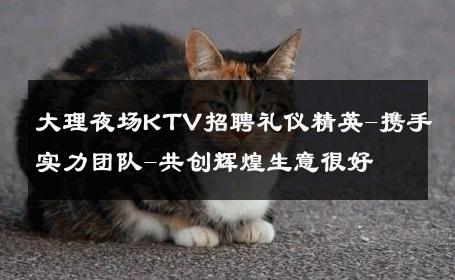 大理夜场KTV招聘礼仪精英-携手实力团队-共创辉煌生意很好