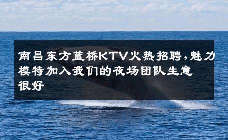 南昌东方蓝桥KTV火热招聘,魅力模特加入我们的夜场团队生意很好