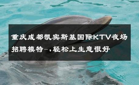 重庆成都凯宾斯基国际KTV夜场招聘模特-,轻松上生意很好