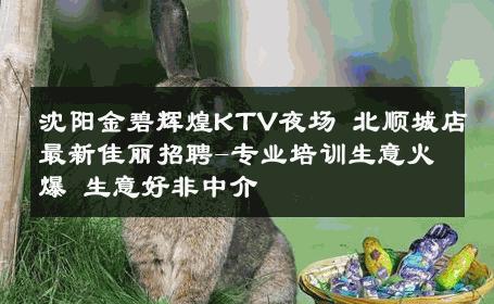 沈阳金碧辉煌KTV夜场 北顺城店最新佳丽招聘-专业培训生意火爆 生意好非中介
