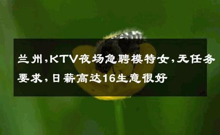 兰州,KTV夜场急聘模特女,无任务要求,日薪高达16生意很好