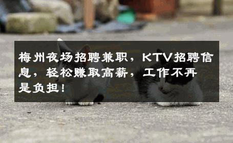 梅州夜场招聘兼职，KTV招聘信息，轻松赚取高薪，工作不再是负担！