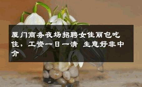 厦门商务夜场招聘女佳丽包吃住，工资一日一清 生意好非中介