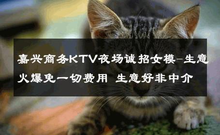 嘉兴商务KTV夜场诚招女模-生意火爆免一切费用 生意好非中介