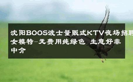沈阳BOOS波士量贩式KTV夜场招聘女模特-无费用纯绿色 生意好非中介