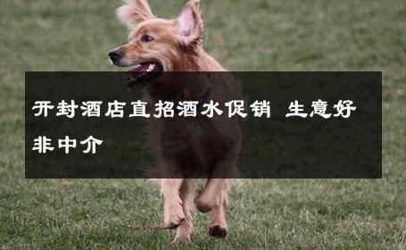 开封酒店直招酒水促销 生意好非中介
