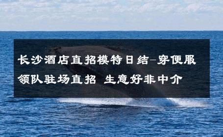长沙酒店直招模特日结-穿便服领队驻场直招 生意好非中介
