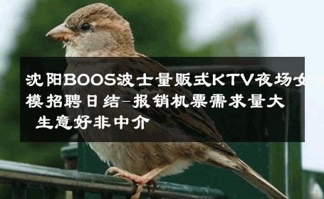 沈阳BOOS波士量贩式KTV夜场女女模招聘日结-报销机票需求量大 生意好非中介