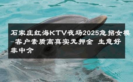石家庄红海KTV夜场2025急招女模-客户素质高真实无押金 生意好非中介