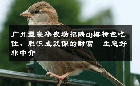 广州最豪华夜场招聘dj模特包吃住，胆识成就你的财富  生意好非中介
