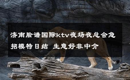 济南脸谱国际ktv夜场夜总会急招模特日结 生意好非中介