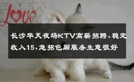 长沙华天夜场KTV高薪招聘,稳定收入15,急招包厢服务生意很好