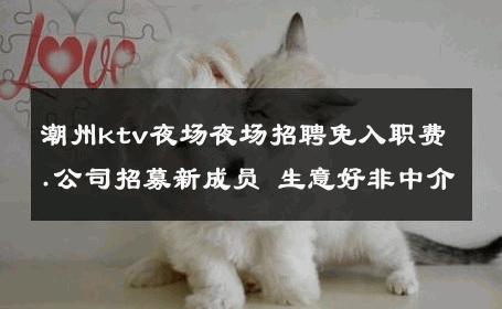 潮州ktv夜场夜场招聘免入职费.公司招募新成员 生意好非中介