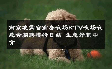 南京凌霄宫商务夜场KTV夜场夜总会招聘模特日结 生意好非中介