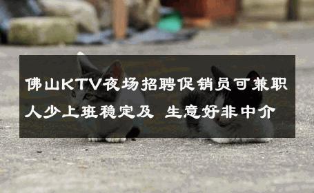 佛山KTV夜场招聘促销员可兼职人少上班稳定及 生意好非中介