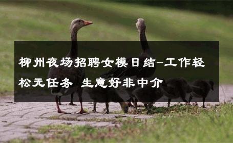柳州夜场招聘女模日结-工作轻松无任务 生意好非中介