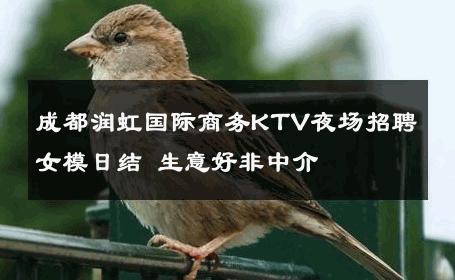 成都润虹国际商务KTV夜场招聘女模日结 生意好非中介