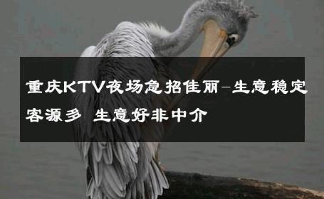 重庆KTV夜场急招佳丽-生意稳定客源多 生意好非中介