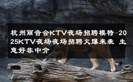 杭州丽音会KTV夜场招聘模特-2025KTV夜场夜场招聘火爆来袭 生意好非中介