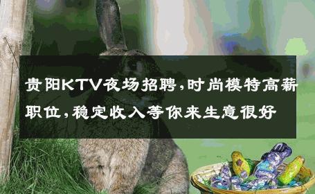 贵阳KTV夜场招聘,时尚模特高薪职位,稳定收入等你来生意很好