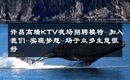许昌高端KTV夜场招聘模特-加入我们-实现梦想-场子众多生意很好