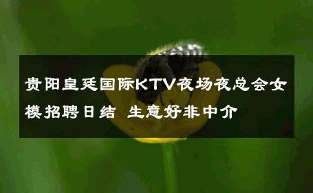贵阳皇廷国际KTV夜场夜总会女模招聘日结 生意好非中介
