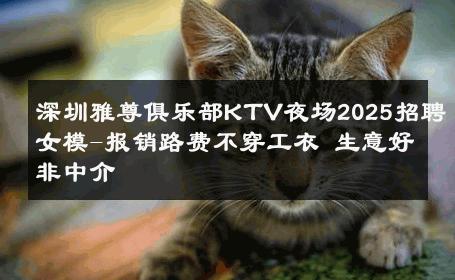 深圳雅尊俱乐部KTV夜场2025招聘女模-报销路费不穿工衣 生意好非中介