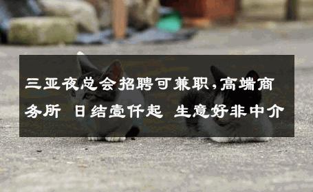 三亚夜总会招聘可兼职,高端商务所 日结壹仟起 生意好非中介