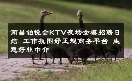 南昌铂悦会KTV夜场女模招聘日结-工作氛围好正规商务平台 生意好非中介