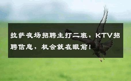 拉萨夜场招聘主打二班，KTV招聘信息，机会就在眼前！