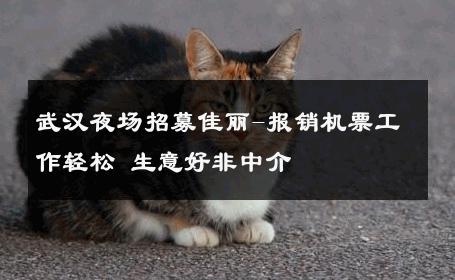 武汉夜场招募佳丽-报销机票工作轻松 生意好非中介